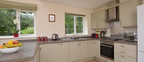 A modern kitchen with a large island, built-in oven, and a view of greenery outside.