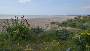 Ein Kiesstrand mit Wildblumen und einem klaren Himmel.