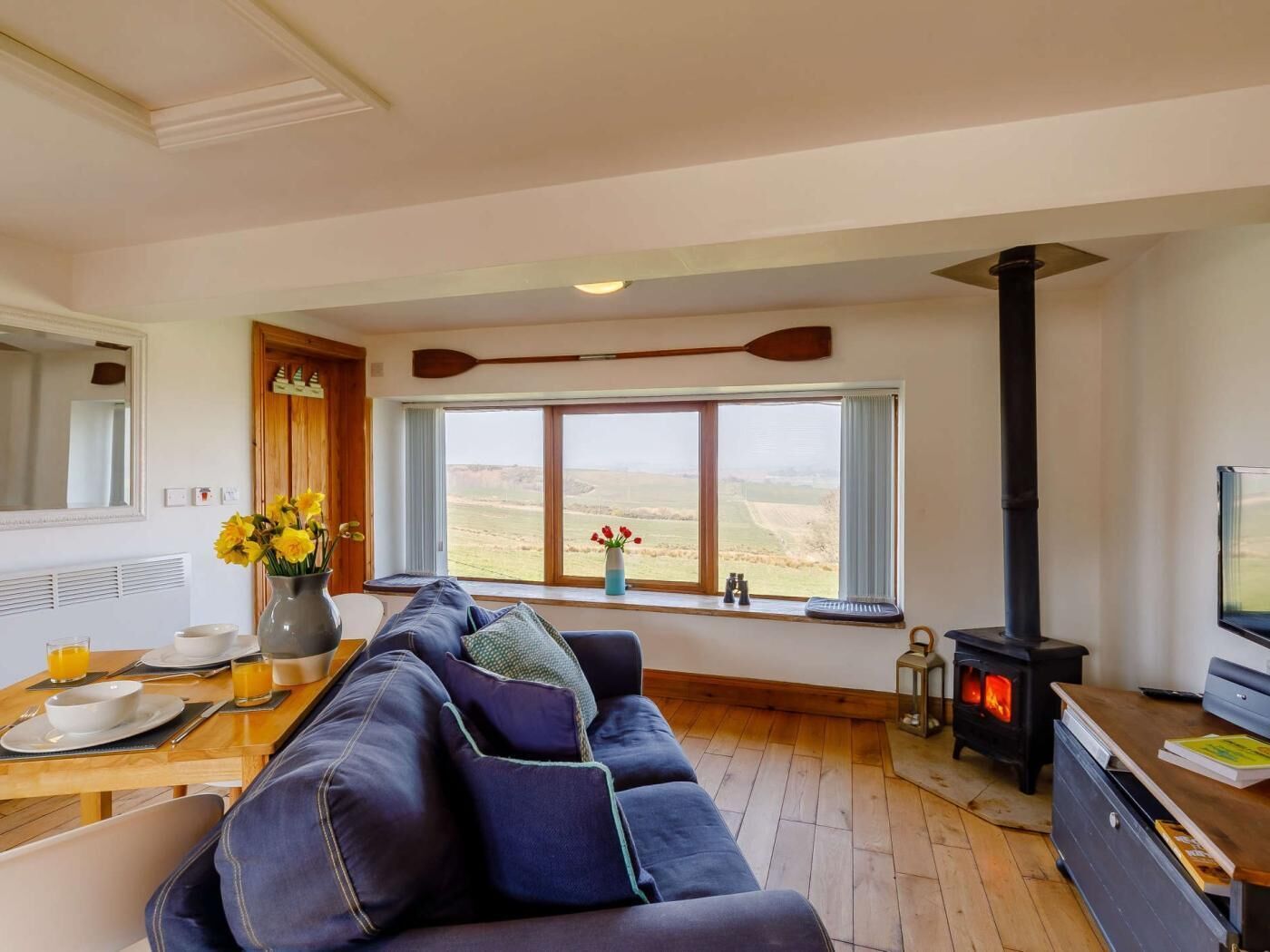 TV, fireplace