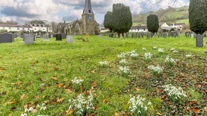 Une église dotée d’un flèche imposante, entourée d’un cimetière où se dressent des pierres tombales et d’une pelouse parsemée de perce-neige.