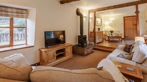 Un salon confortable avec une télévision, une cheminée et un canapé.