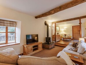 TV, fireplace - 3 Bed in Barnstaple (oc-60511) (Swimbridge)