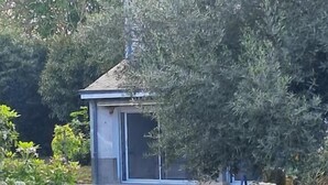 Un petit bâtiment doté d’un toit en pente, entouré d’une végétation luxuriante.