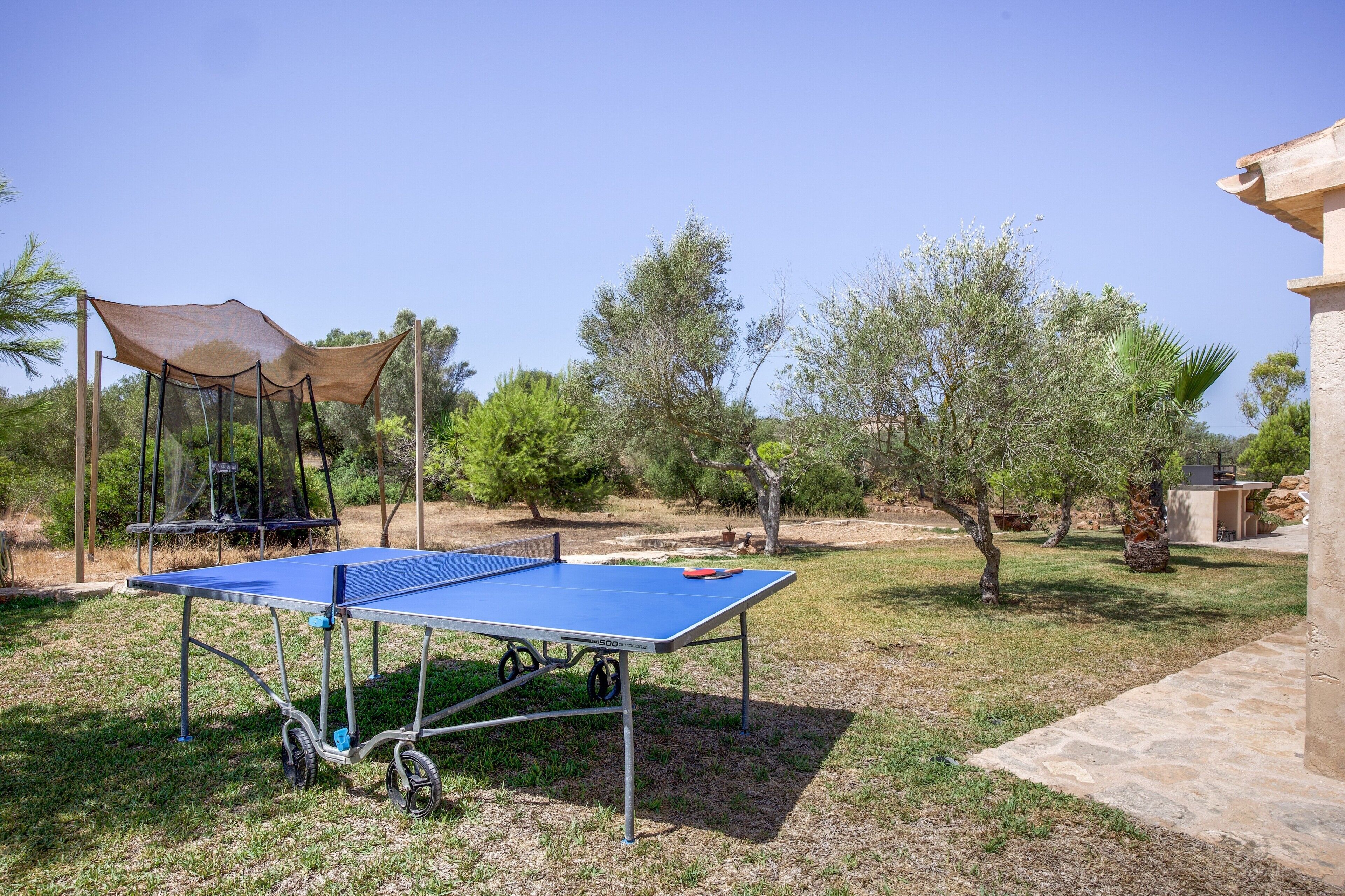 A blue outdoor ping pong table with a canopy and a trampoline in a grassy area with trees.