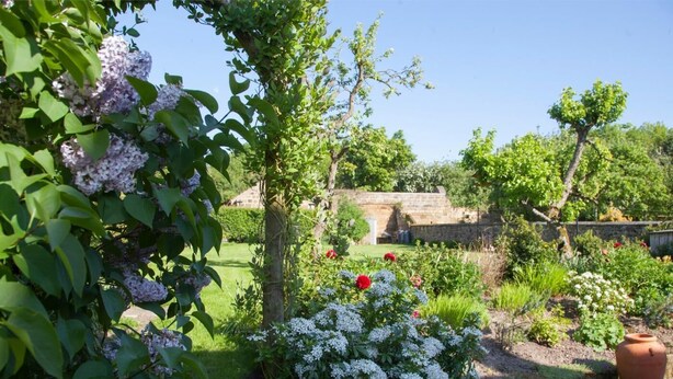 A garden with various plants and flowers, a stone wall, and a clear sky. - 2 Bed in Northallerton (oc-g0172) (Thimbleby)