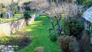 A garden with a stone path, a wooden fence, and a variety of plants and trees. - 2 Bed in Swanage (oc-dc069) (Studland)