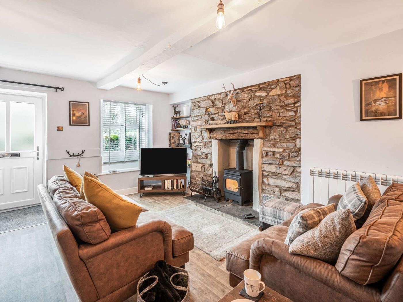 TV, fireplace