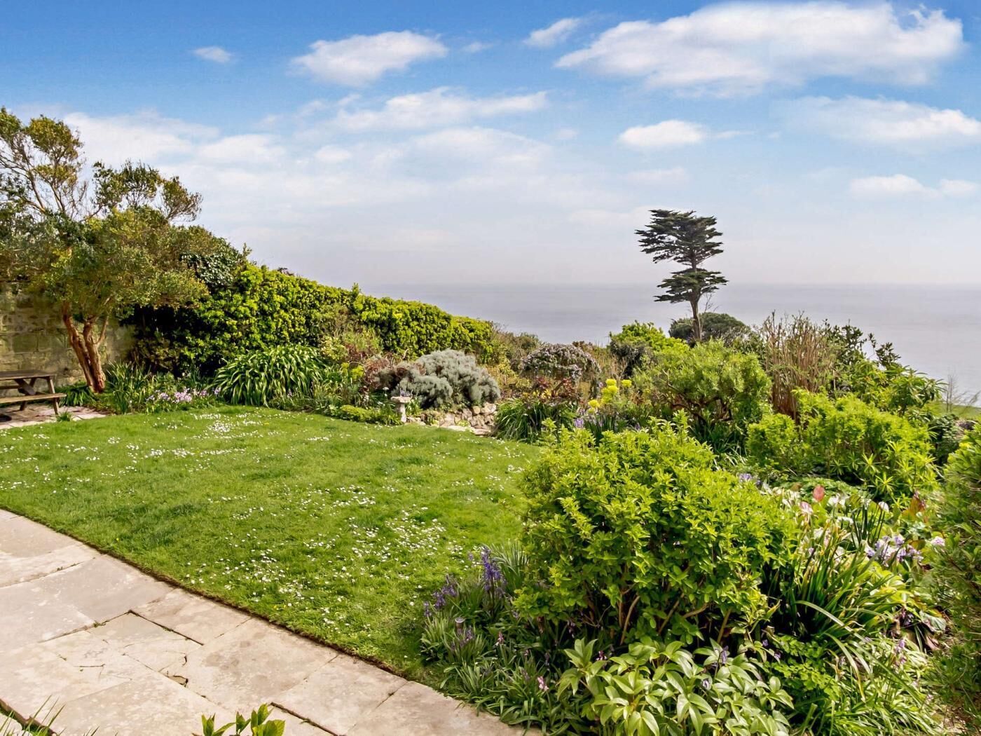 A garden with a stone bench, various plants, and a view of the ocean.