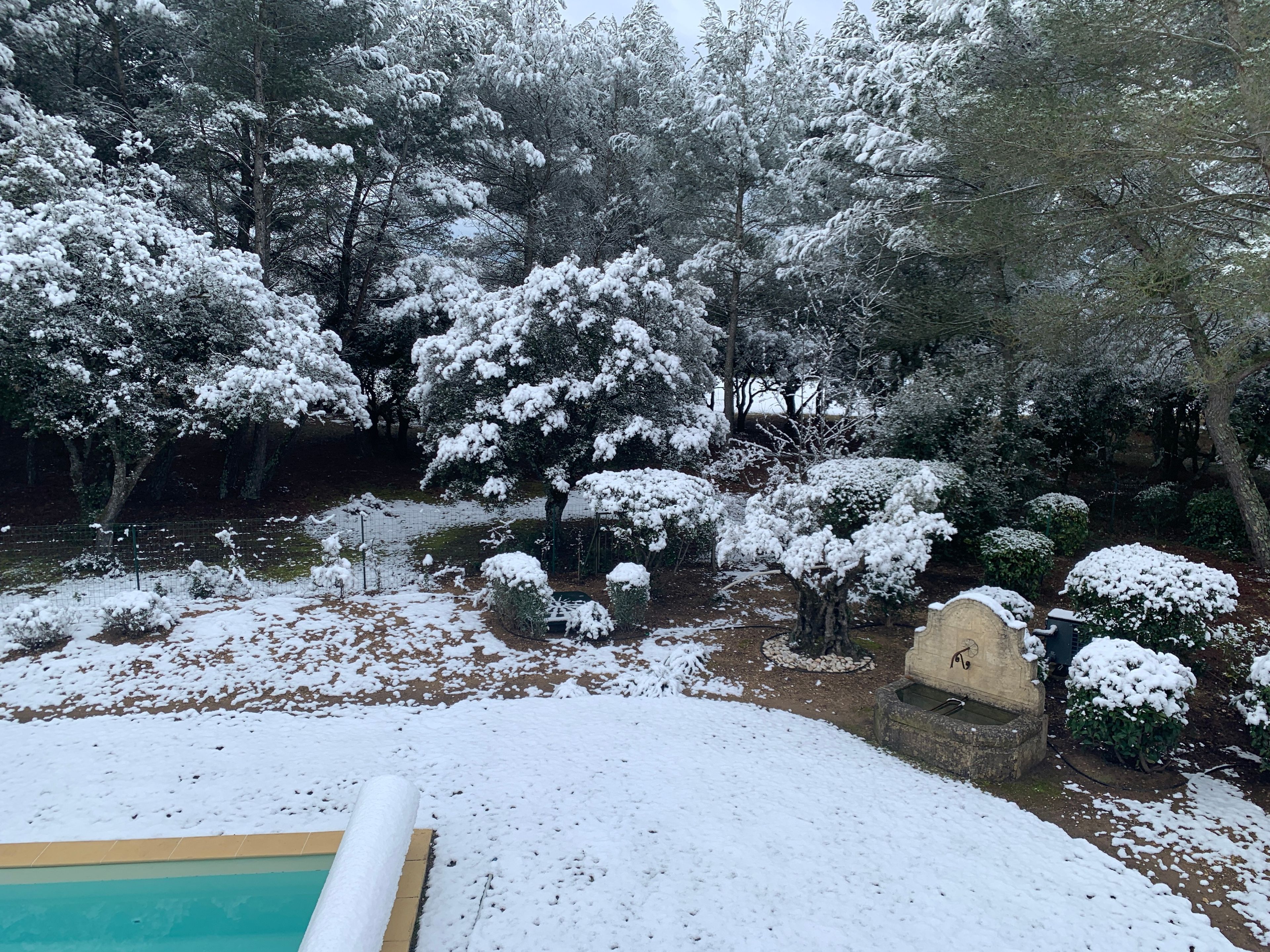 Un giardino innevato con alberi e una struttura in pietra.