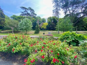 Property grounds - 1 Bed in Ventnor (oc-ic144) (Ventnor)