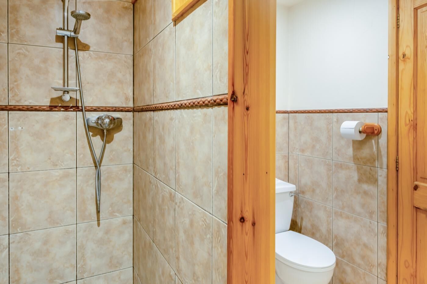 A bathroom with a shower, toilet, and wooden door.