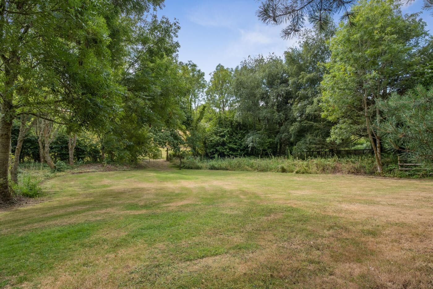 A grassy field with trees and a fence in the background.