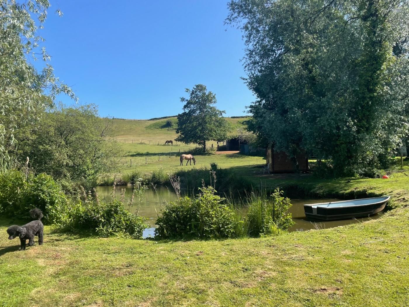 Un paysage rural avec un étang, des zones herbeuses et une structure en bois.