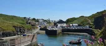 1 Bed in Haverfordwest (oc-61170)