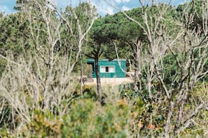 Un piccolo edificio a un solo piano con facciata verde, immerso nel verde.