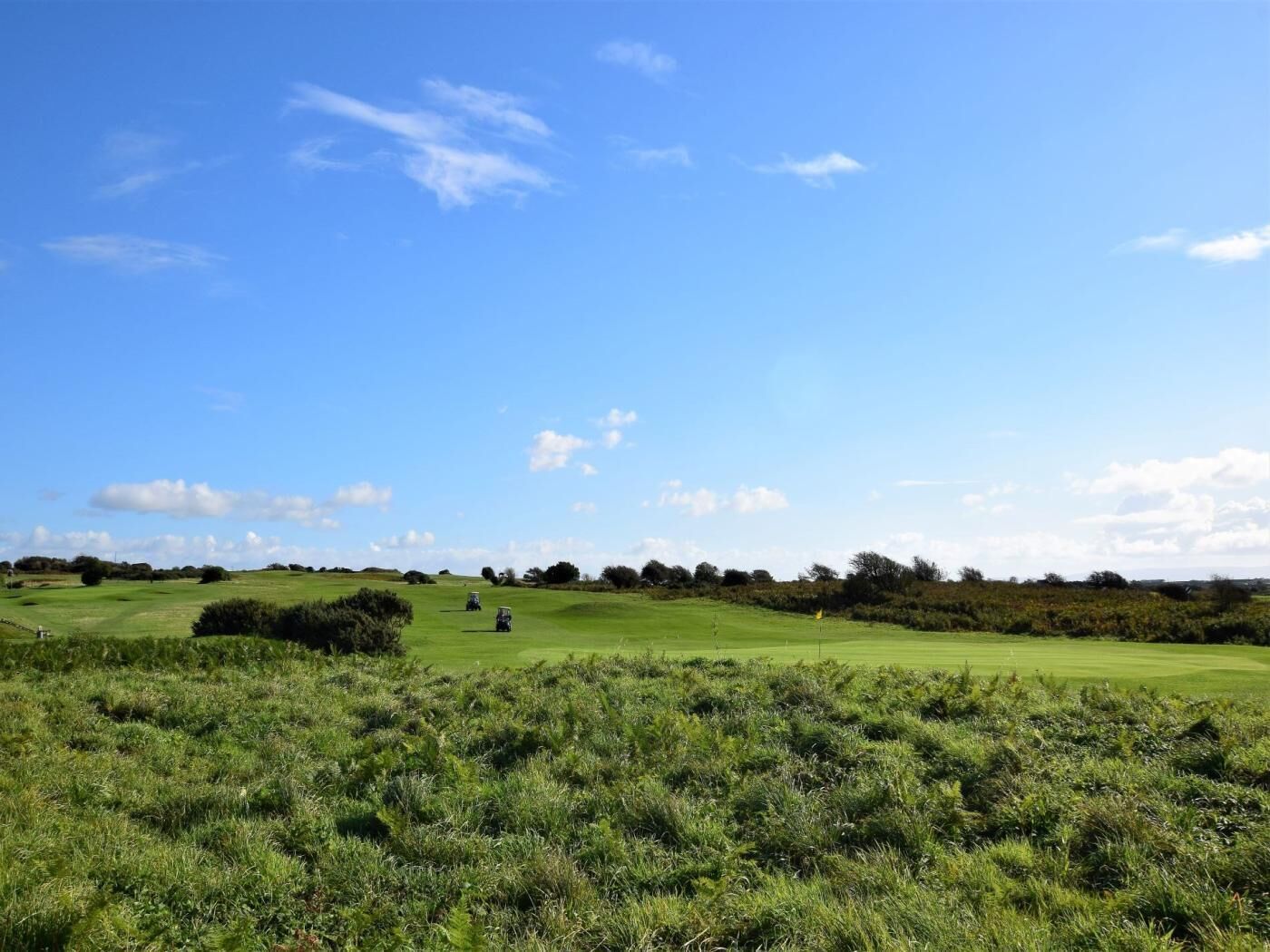 A golf course with a clear sky, well-maintained grass, and distant trees.