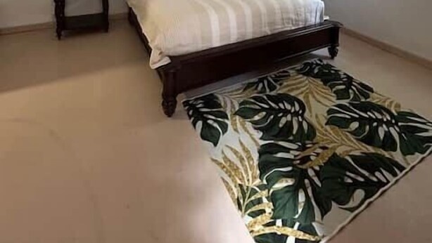 A bedroom with a bed, a ceiling fan, a nightstand, a window, and a patterned rug. - Private Apartment in the Heart of Downtown Marigot (Marigot)