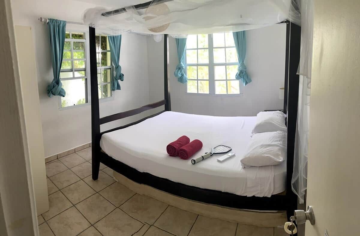 A single bed with a canopy, a window with curtains, and a door.