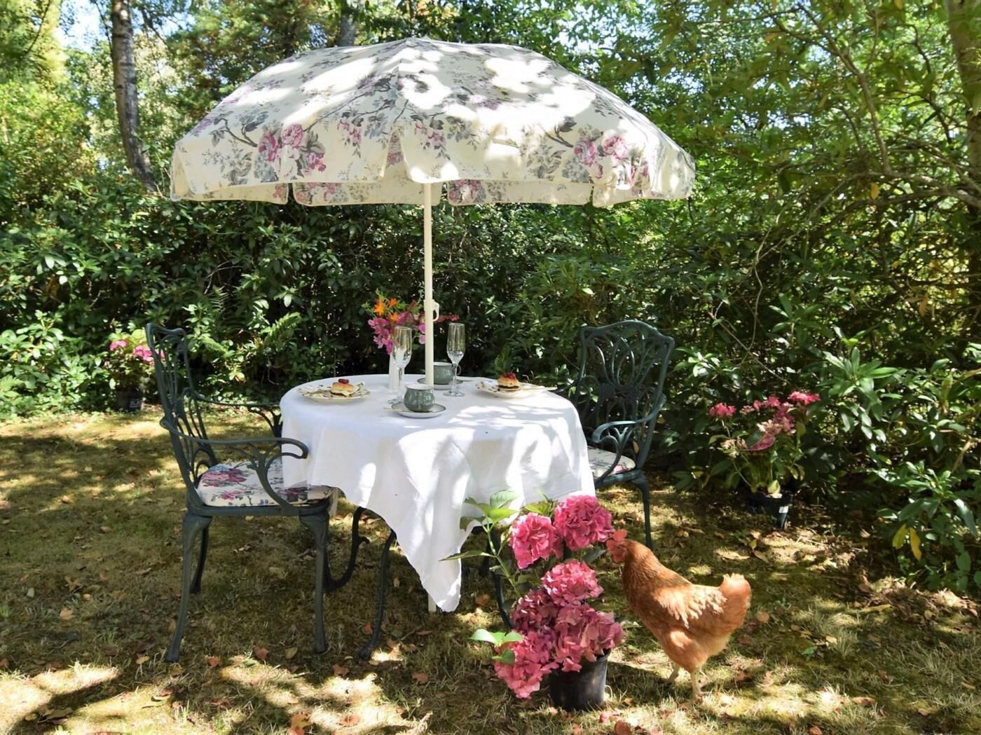 A round table with a white tablecloth, two chairs, a floral umbrella, and a chicken in a garden setting.