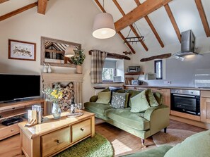 Ein gemütliches Wohnzimmer mit Fernseher, einer Couch, Kamin und einer Küchenzeile mit Geräten.