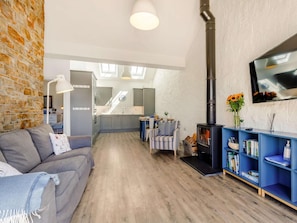 TV, fireplace - 2 Bed in Bideford (oc-62964) (Appledore)