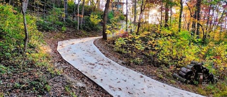 Un camino de concreto serpentea por un bosque con follaje otoñal.