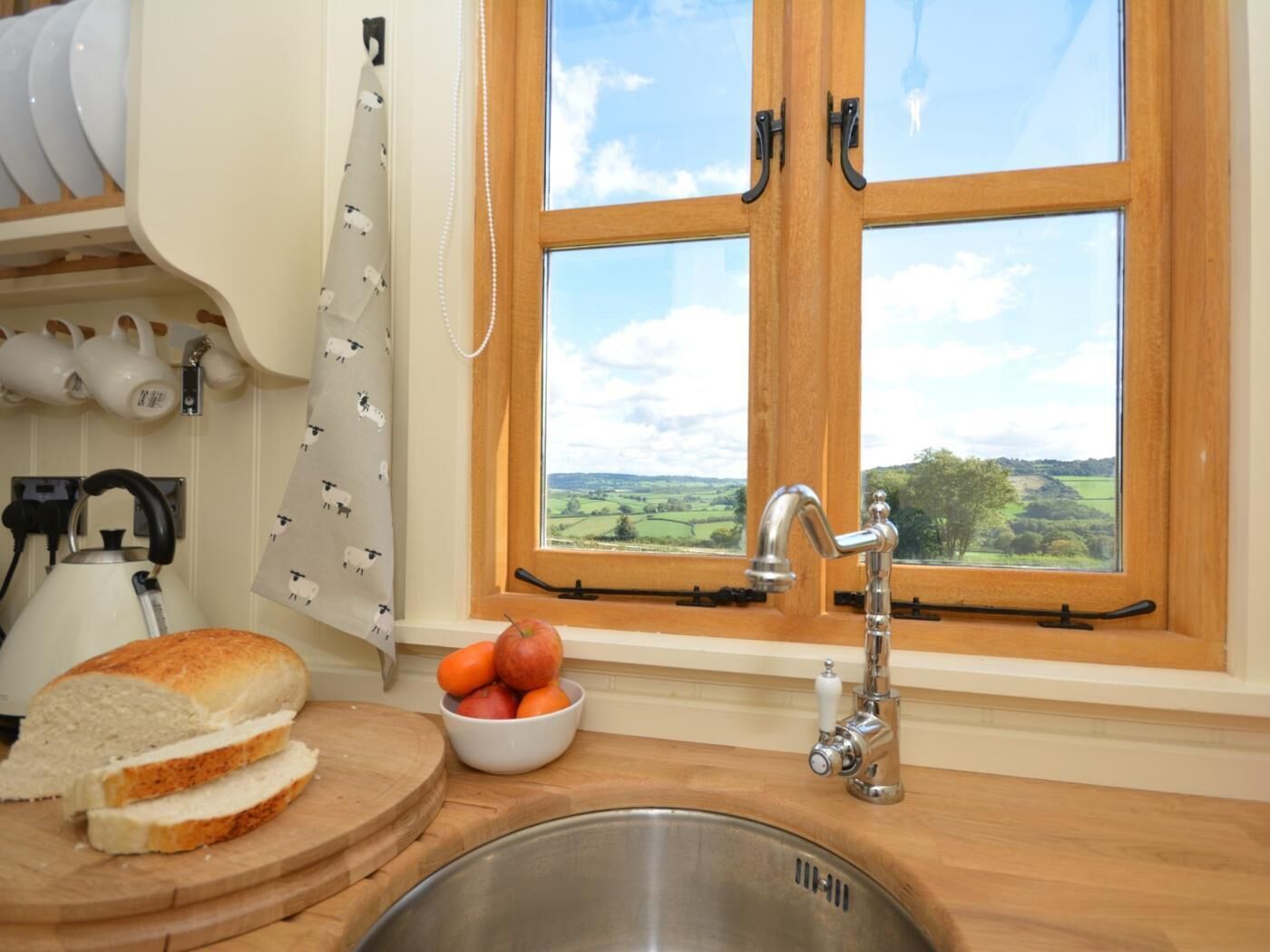 Oven, cookware/dishes/utensils