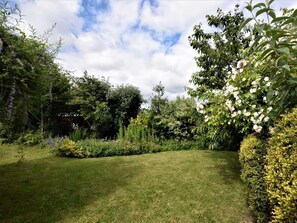 Ein gepflegter Garten mit verschiedenen Pflanzen und Blumen, bewölkter Himmel und einem Rasen.