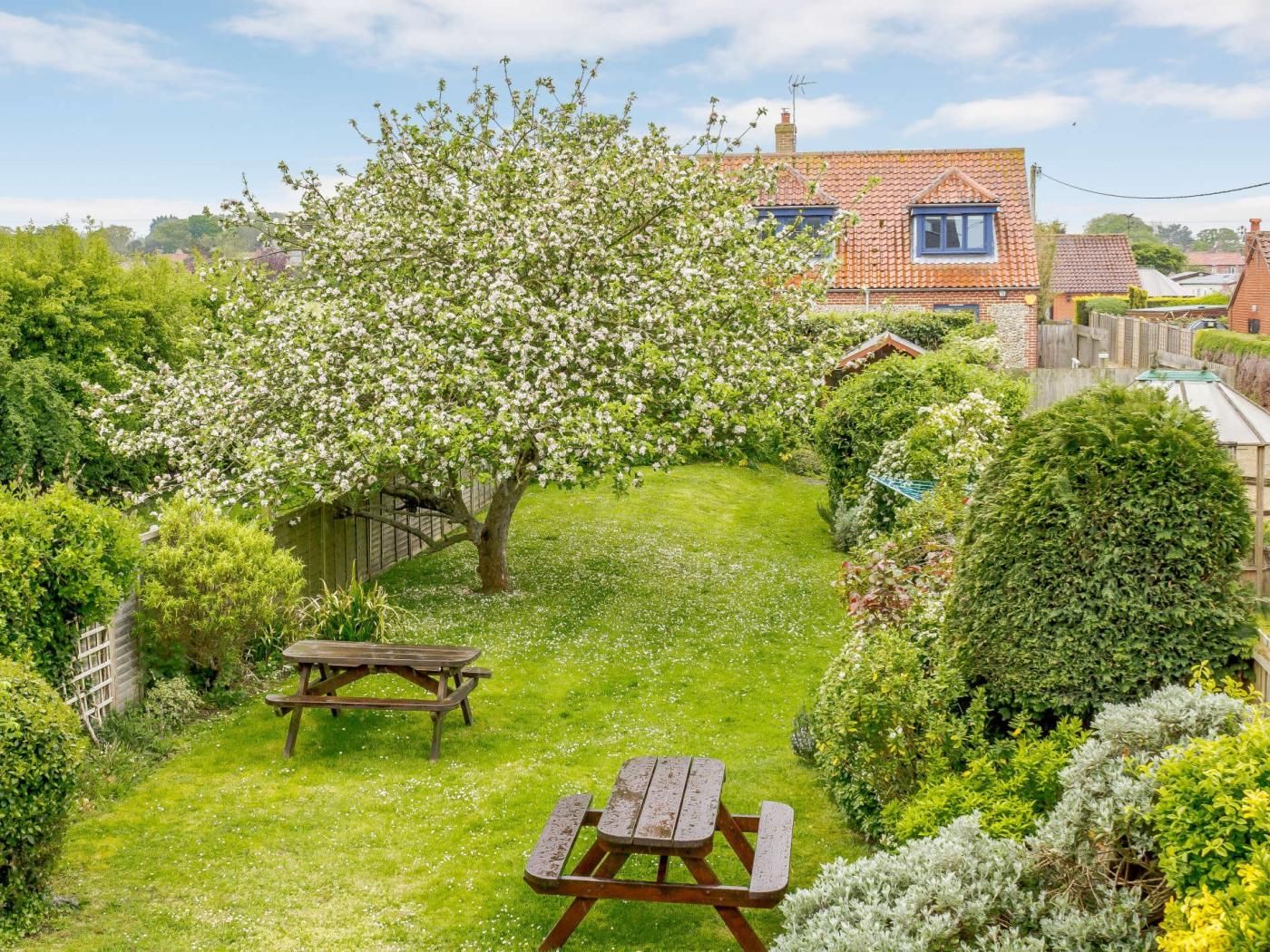 A garden with a picnic table and a tree with white blossoms.