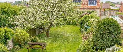 A garden with a picnic table and a tree with white blossoms.