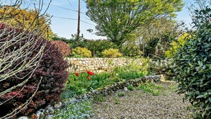 Ein Garten mit Kiesweg, verschiedenen Pflanzen und einer Steinmauer.