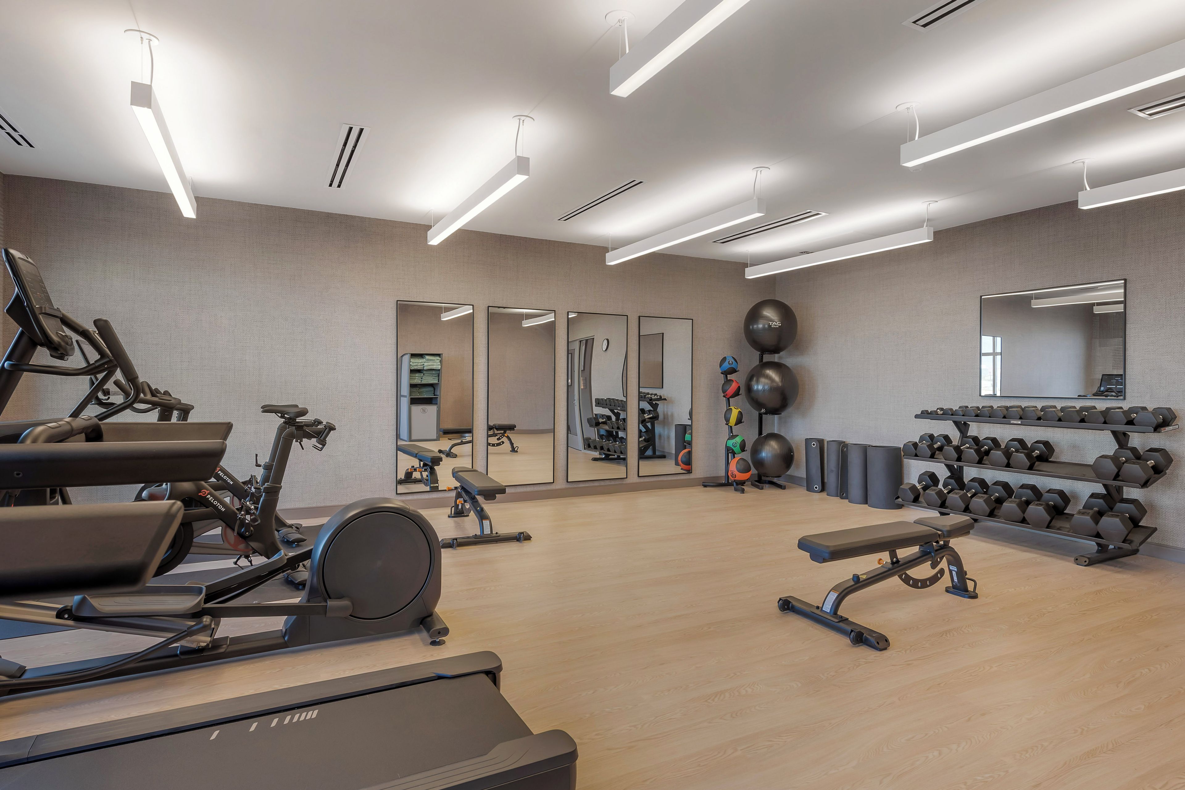 Un gimnasio moderno con equipo de cardio, pesas libres y espejos.