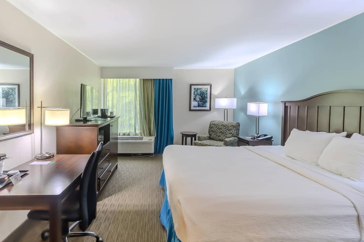 Quarto standard, 1 cama King, para não fumantes | Wi-Fi de cortesia