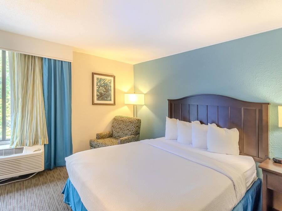 Standard Room, 1 King Bed, Non Smoking | WiFi (free)