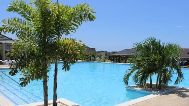A clear blue pool surrounded by palm trees and a concrete deck. - Coolshade - Richmond Estate  (St. Ann Parish)
