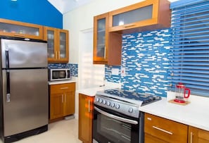 Private kitchen - Coolshade - Richmond Estate (St. Ann Parish)