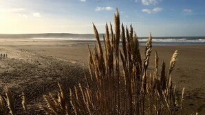 A beach with waves, a clear sky, and tall grasses in the foreground. - 4 Bed in Ilfracombe (oc-66202) (Ilfracombe)