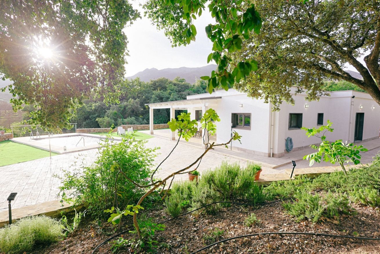 Un edificio moderno con un patio rodeado de follaje y árboles.