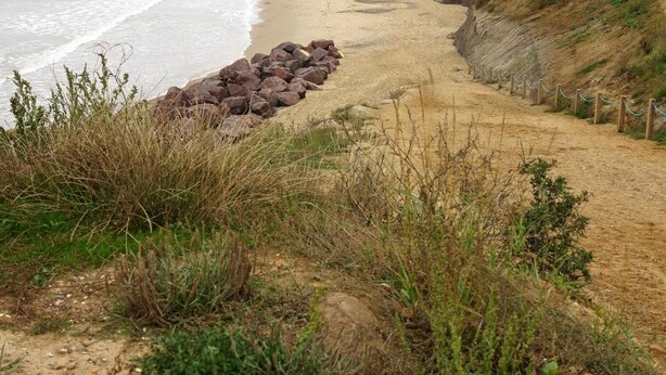 Un sendero costero con una playa de arena, afloramientos rocosos y una ruta cercada.