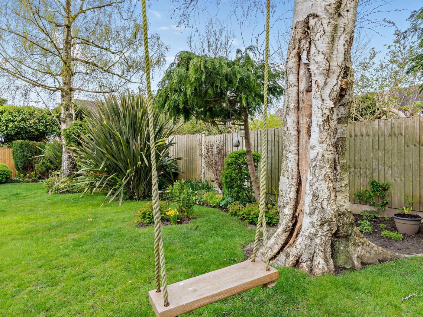 Un jardin avec une balançoire, un grand arbre et une clôture en bois.