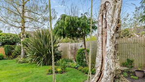 Een tuin met een schommel, een grote boom en een houten omheining.