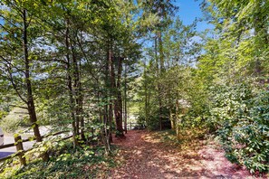 Property grounds - Rodger's Hemlock (Lake Junaluska)