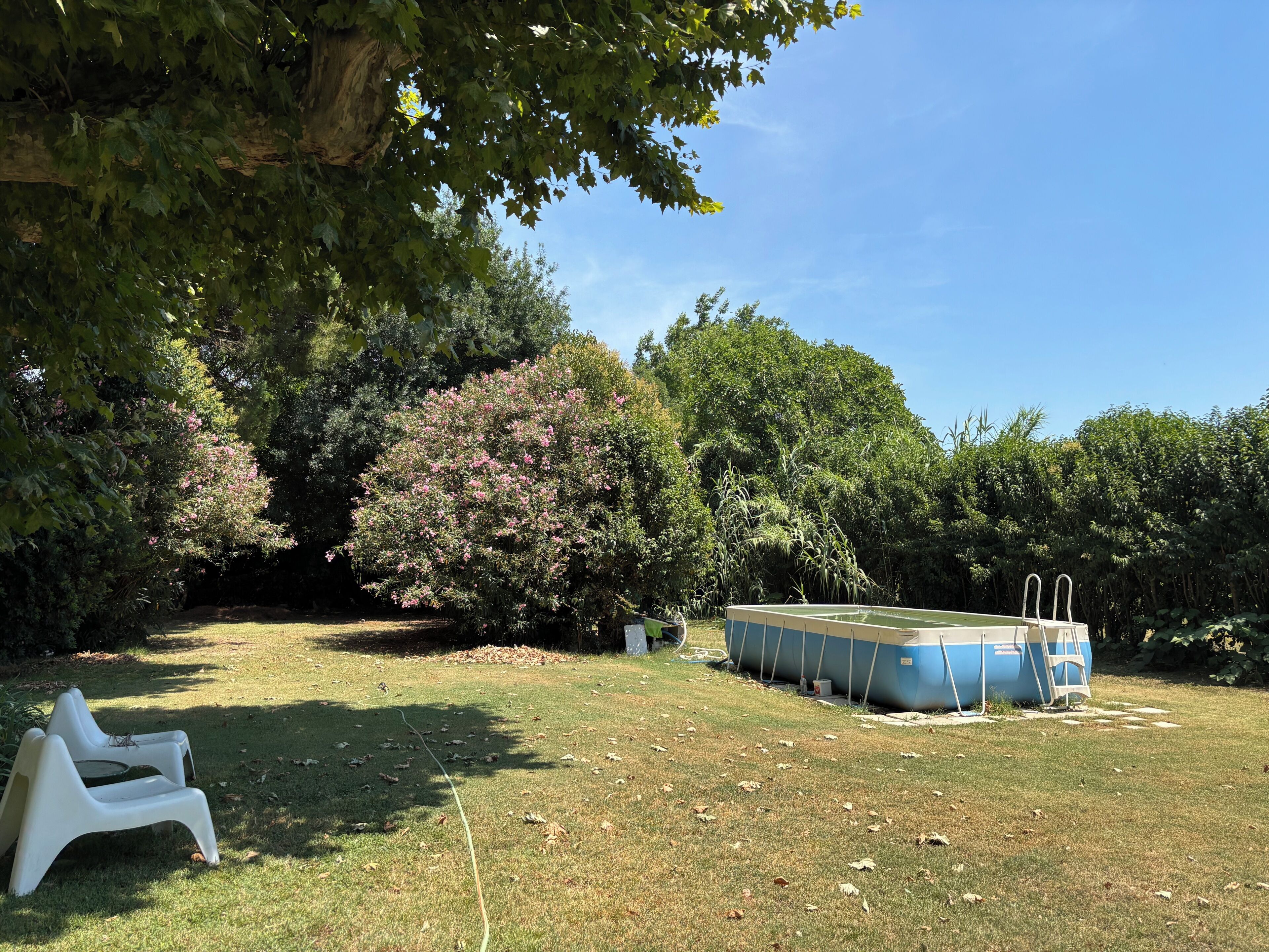A backyard with a swimming pool, a white plastic chair, and various trees.