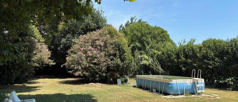 A backyard with a swimming pool, a white plastic chair, and various trees.