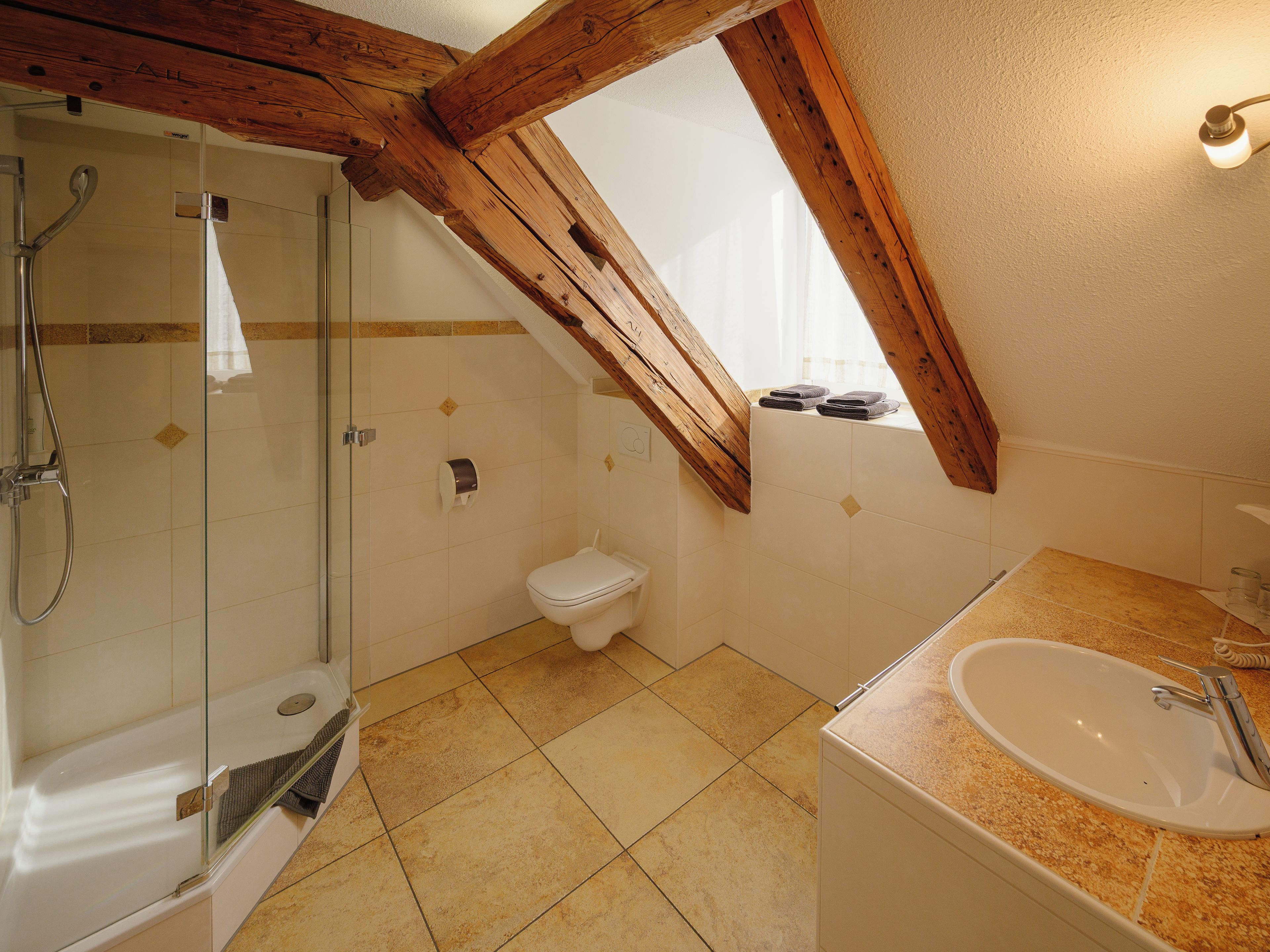 Un baño con ducha de vidrio, inodoro y lavamanos.