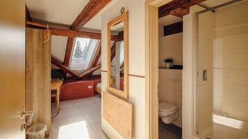 Ein Zimmer mit schrägem Dach, Holzbalken, Dachfenster, Spiegel, Dusche und Toilette.