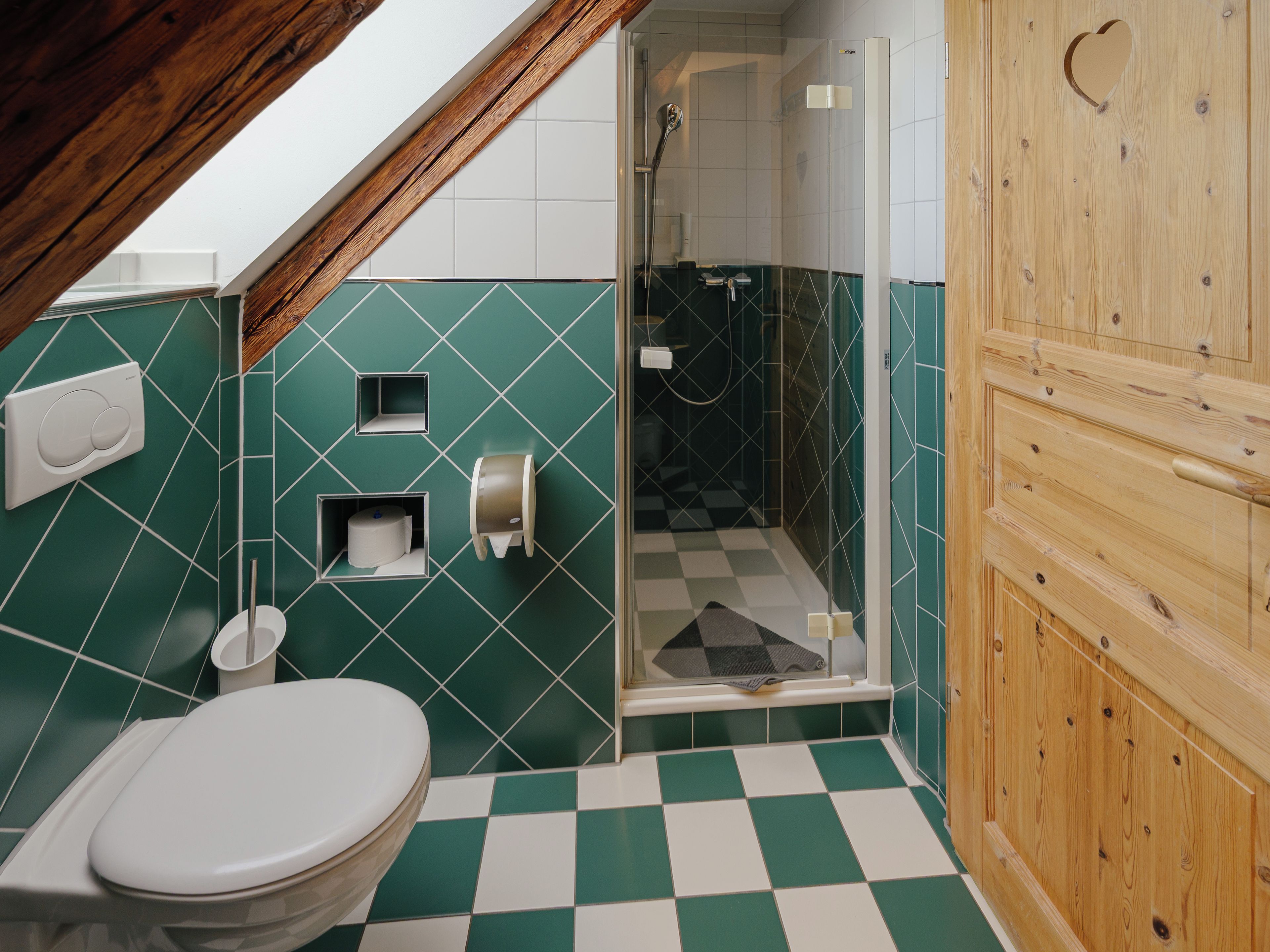 A bathroom with a checkered floor, a toilet, a shower, and a wooden door.