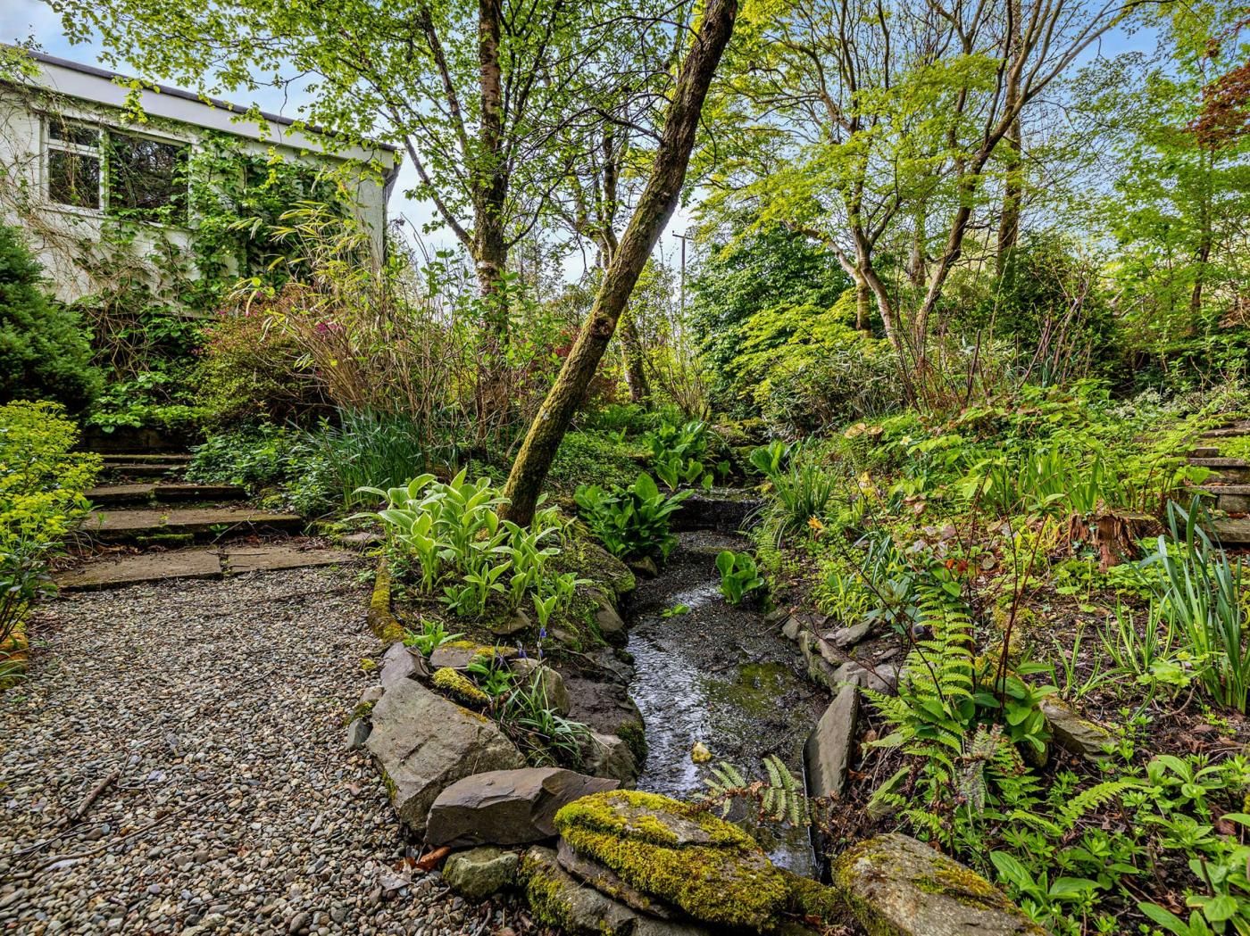 A garden with a small stream, surrounded by various plants and trees.