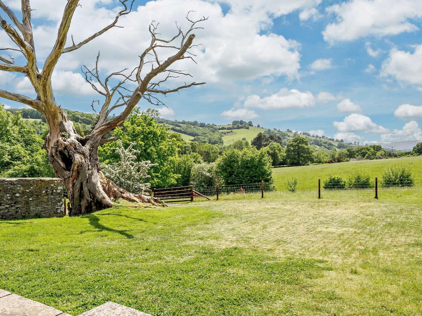 Un paysage rural avec un grand arbre, un mur de pierres et un champ clôturé.