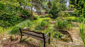 Un banc dans un jardin avec un étang, entouré de différentes plantes et de divers arbres.